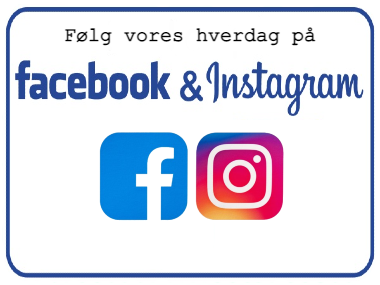 Følg Skolen ved Bülowsvej på sociale medier